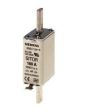 Siemens 3NE4101 Fuse