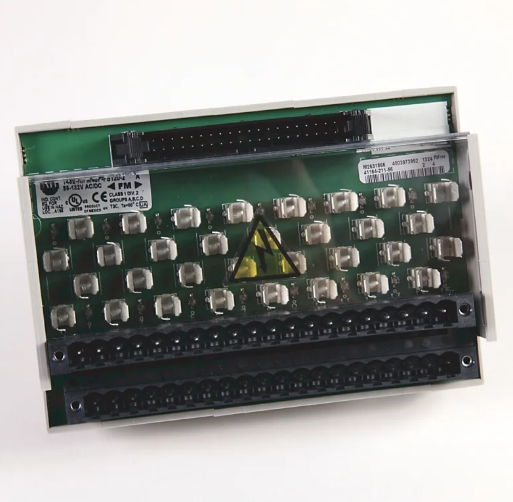 Allen-Bradley 1492-RIFM40F-F24-2 Module
