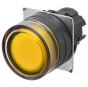 OMRON A22NZ-BGA-TYA Device