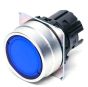 OMRON A22NZBGAUGA Button