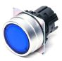 OMRON A22NZBGAUWA Button