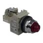 Schneider Electric 9001KT1R31 Light
