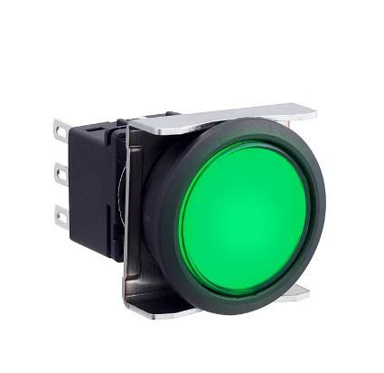 IDEC LBW6L-A1T24VG Device
