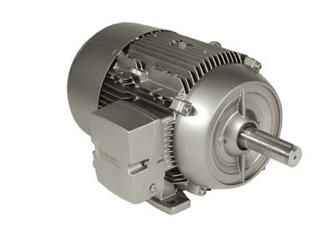 Siemens 1LE21211CB114EA3 Motor