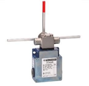 Telemecanique XCKMR54D2H29 Device