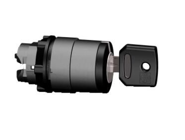 Schneider Electric ZB5AG510 Selector