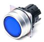 OMRON A22NZBGANAA Button