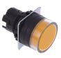 OMRON A22NZBGMNYA Button