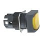 Schneider Electric ZB6CF5 Button