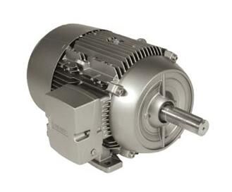 Siemens 1LE21211CA114AA3 Motor