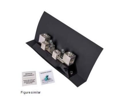 Siemens HFC222NR Fuse