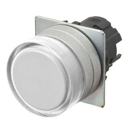OMRON A22NZMGANWA Button