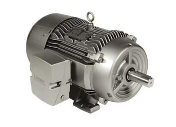Siemens 1LE22211CA314GA3 Motor
