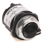 Allen Bradley 800T-U29 Device
