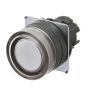 OMRON A22NZ-BGM-TWA Device