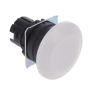 OMRON A22NZ-BMA-NWA Device