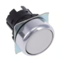 OMRON A22NZ-RNM-NWA Device