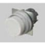 OMRON A22NZMPMNWA Button