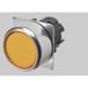 OMRON A22NZRNANYA Button