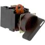 Omron A22S-C2M-11 Switch