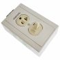Phoenix Contact 5603890 Switch