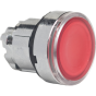 ZB4BH043 Head-Schneider Electric