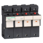 Schneider Electric DF223NVC Fuseholder