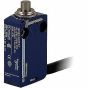 Telemecanique XCMD2110L3 Device