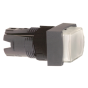 ZB6DE1 Schneider Electric P/B Head-TodayComponents
