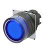 OMRON A22NZ-BGM-TAA Device