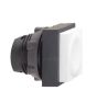 Schneider Electric ZB5CL1 Button