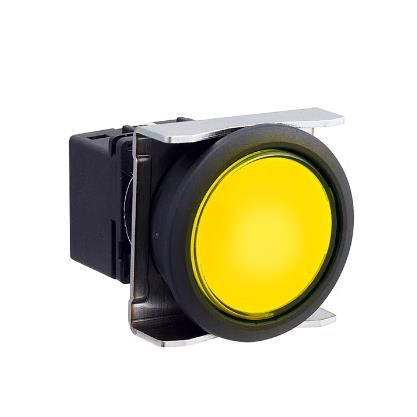 IDEC LBW6P-1T04VY Device