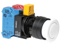 IDEC HW1B-M3F22-W Device