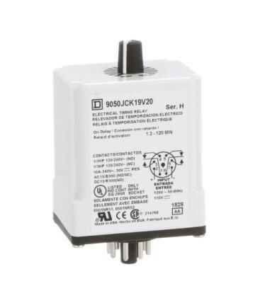 Schneider Electric 9050JCK19V20 Relay