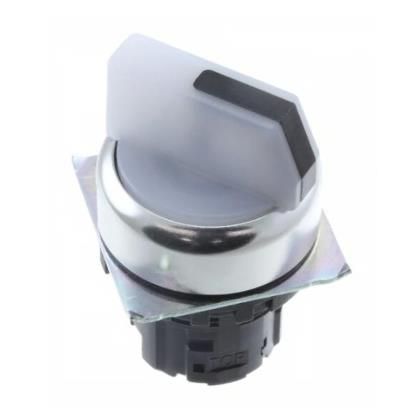 OMRON A22NZ-2RM-TWA Device