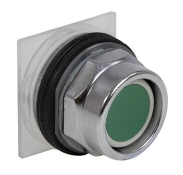 Schneider Electric 9001KR2G Button