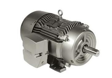Siemens 1LE22211AA114GA3 Motor