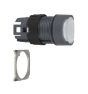 Schneider Electric ZB6AF1 Button