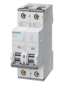 Siemens 5SY4202-8 Breaker
