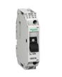 Schneider Electric GB2CB10 Breaker