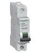 Schneider Electric MG24118 Protector
