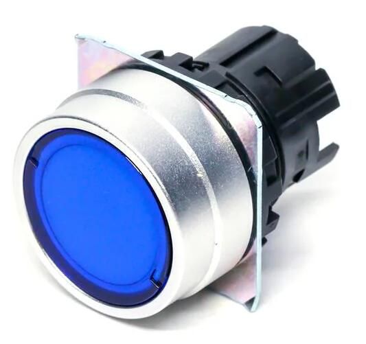 OMRON A22NZBNMUGA Button