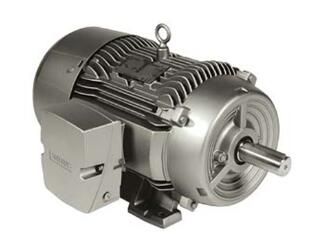 Siemens 1LE22212AB114GA3 Motor