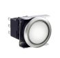 IDEC LBW6ML-A1T24PW Device