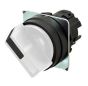 OMRON A22NZ-2BM-TWA Device