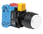 IDEC HW1B-M2F22-W Device