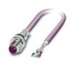 Phoenix Contact 1525623 Plug
