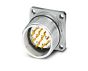 Phoenix Contact 1619968 Connector