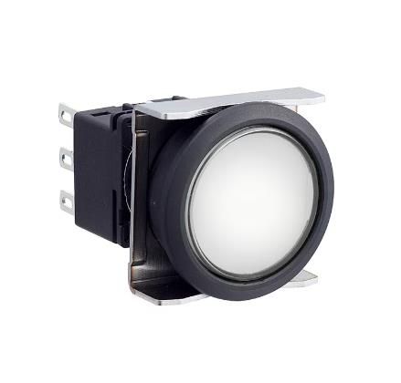 IDEC LBW6L-A1T24VPW Device
