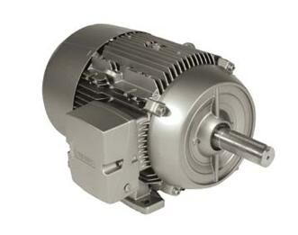 Siemens 1LE21211AA214AA3 Motor